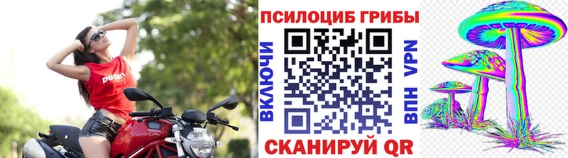 где можно купить   Алдан  Галлюциногенные грибы мицелий 